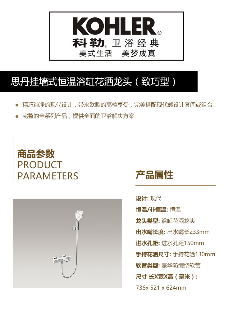 思丹挂墙式恒温浴缸花洒龙头（致巧型）.jpg
