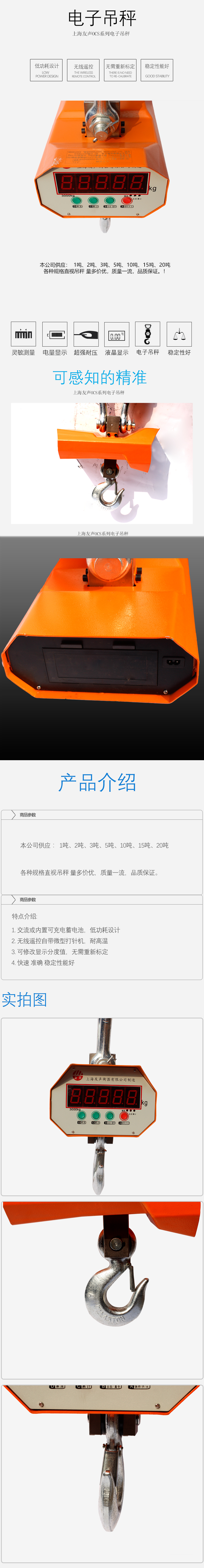 上海友声OCS系列电子吊秤.jpg